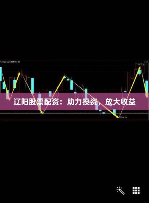 辽阳股票配资：助力投资，放大收益